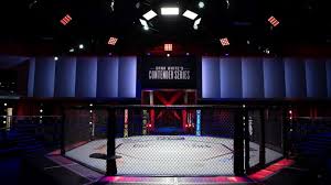 Ufc gym, the first major brand extension of ufc, says that its new fitness concept, ufc fit, will open two new locations in las vegas this month. Ufc Apex Officially Opens In Las Vegas Ufc
