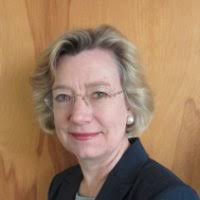 Synergy Investments Management Team