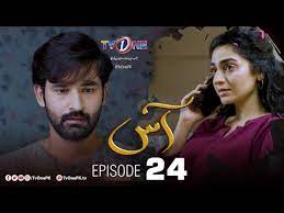 Siddiqui was educated at the st. Download Pakistani Drama Ass 12 Episode3gp 3gp Mp4 Codedwap