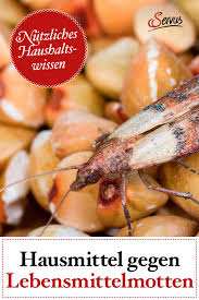 Pin Auf Hausmittel
