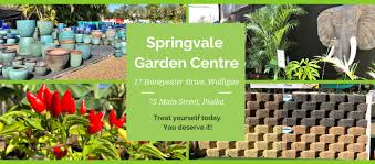 Unique pop up home experienceshan, wayne and fur baby ollie invite you to come and enjoy the experience of staying in their pop up home, also known as tiny home although it is still quite spacious. Springvale Garden Centre Hervey Bay Home Facebook