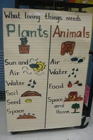 Pin By Hildelisa Diaz On Living Things Kindergarten Anchor Charts Kindergarten Science Plants Kindergarten