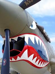 Maybe The Best Known Aircraft Nose Art Of All This Is Painted On A P 40 Warhawk Made Famous By The Flying Tigers Amer Aircraft Vintage Aircraft Fighter Planes