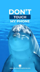 Check spelling or type a new query. Wallpaper Don T Touch My Phone Cute Animals Dont Touch My Phone