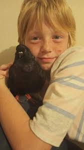 Just wanted to share some more pics of Bebop 🤍