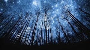 El tema de esta foto es: Wallpapers Cielos Estrellados Hd Ssss Pinterest Cielo Night Sky Wallpaper Starry Night Wallpaper Starry Night Sky