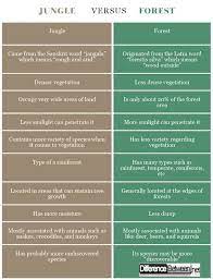 Difference Between Wow Facts Jungle Forest European Explorers