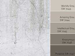 Women of color and olive skin tones tend to have a lot of gray, so look for a foundation with orange in it to warm up the complexion, explains makeup artist trish mcevoy, who is set to make her debut on hsn this saturday. Worldly Gray Sw 7043 Review By Laura Rugh Rugh Design