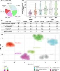Was the eighth largest, hosting around 0.9 million refugees in 2017. Depicting The Genetic Architecture Of Pediatric Cancers Through An Integrative Gene Network Approach Scientific Reports