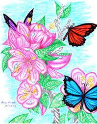 Image Result For Butterfly And Flower Drawings With Color Flower Drawing Butterfly Drawing Flower Drawings With Color