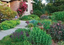 Water-Wise Gardening