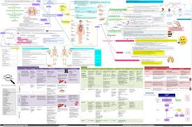 Pin On Zoom Out Pharmacotherapy