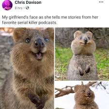 Chrisdavisoncomedy Serialkillers Serialkillerpodcasts Mfm Savannahbootour Animals Funny Animal Videos Funny Animals