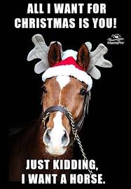 Pin by Liny on Funny Horse sayings | Horse quotes funny, Funny horses,  Christmas quotes funny