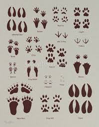 Animal Tracks Screen Print Poster Etsy Animal Tracks Animal Footprints Screen Printing