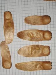 Image result for Entandrophragma caudatum