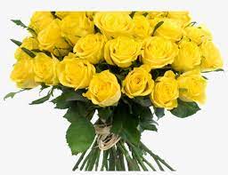 All images and logos are crafted with great workmanship. Yellow Flowers Bouquet Transparent Png Png Mart Beautiful Yellow Roses Bunch Free Transparent Png Download Pngkey