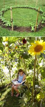 Grow A Sunflower House For The Kids To Play In Sonnenblumenhaus Garten Ideen Und Traumgarten