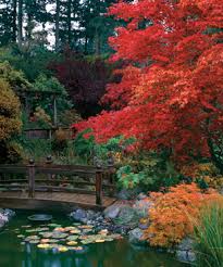 Landscape design in milwaukee, wi by hill & valley landscaping from basic, to 3d concept designs; Is Good Landscape Design Timeless The Impatient Gardener