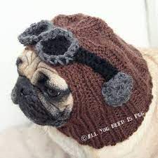 Oh Yes Felix Needs One Dog Hat Dog Clothes Pugs