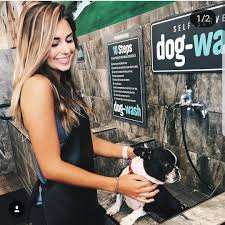 Warm hydrobath brush nails trimmed ears cleaned eye clean. Customers And Their Pets Are Loving Our Self Serve Dog Wash Have You Washed Your Pet In Our Dog Wash Tag Us And Use Dog Wash Diy Dog Wash Pet Supermarket