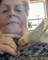 Neighbor mule thinks he's my adopted child