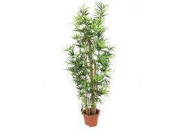We are looking forward to your visit! Europalms Bambus Tree 225cm Artificial Plant Buy Cheap At Huss Light Sound