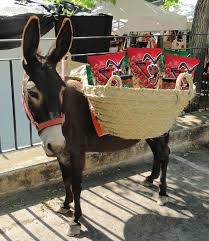 Donkey Chips