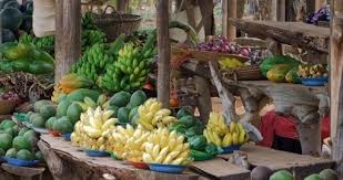 The merging of society in contemporary uganda through migration has led to a merging of tastes and acquisition of others. Uganda Food And Drink Uganda Safari Gorilla Trekking Goway