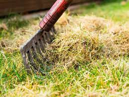 Received the level lawn very quickly (5 days shipping). A Complete Guide To Autumn Lawn Care Lovethegarden