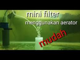 Cara membuat pompa udara aquarium sederhana/aerator dari barang bekas. Cara Membuat Mini Filter Aquarium Golectures Online Lectures
