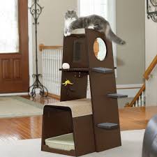 To make a simple cat condo with a scratching post, wind sisal rope from the top to the bottom of a vertical support and attach the support to studs in one wall. Eco Friendly Cat Tree Ideas On Foter