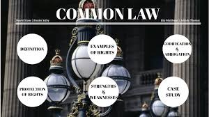 Differential modulation of dibenzodef,pchrysene transplacental carcinogenesis: Common Law By Jolinda Thomas