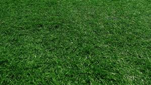 Wright of the seattle seahawks during the super bowl on feb. Of Artificial Green Grass Artificial Turf Football Field By Julia Diak