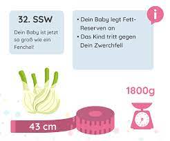 32 Ssw Schwangerschaftswoche