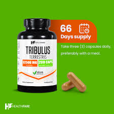 Image result for Tribulus terrestris