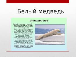 проект красная книга или возьмем под защиту 2 класс рабочая тетрадь Prezentaciya Proekt Dlya Nachalnyh Klassov Krasnaya Kniga Ili Vozmyom Pod Zashitu