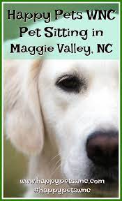 Pet Sitting In Maggie Valley Nc In Home Pet Sitting Happy Animals Pet Sitting