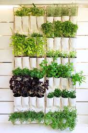 Vertical Herbs Vertical Garden Diy Diy Herb Garden Apartment Herb Gardens