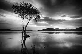 3,0 von 5 sternen 2. Schwarz Weiss See Landschaft Kostenloses Foto Auf Pixabay