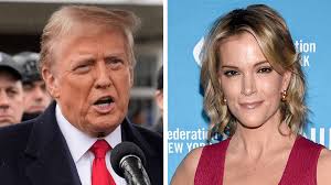 Megyn Kelly knocks Trump over response to Epstein question: 'Good grief'