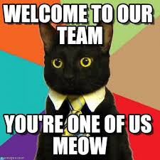 They are funny, smart and great for communication. Welcome To The Team Memes