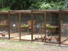 Pugbug S Coop Poultry Farm Design Chickens Backyard Urban Chicken Farming