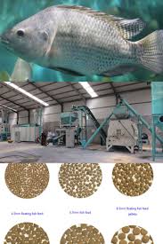 What Are The Common Feeds For Tilapia Breeding Fish Feed Machine In 2020 Fish Feed Catfish Farming Fish