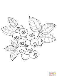 Blueberry Coloring Page From Blueberry Category Select From 26977 Printable Crafts Of Cartoo Fruit Coloring Pages Coloring Pages Free Printable Coloring Pages