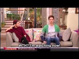 Potato star 2013qr3 should already be filming since it'll be debuting on september 23rd. Download Potato Star Indo Sub Mplasopa