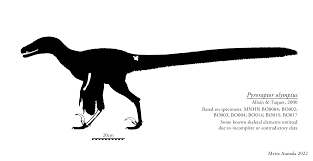 Pyroraptor - Wikipedia