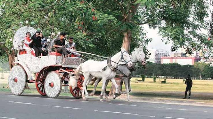 After Bombay HC ban on Victorias, Kolkata phaeton owners fear similar fate | Kolkata News - The Indian Express