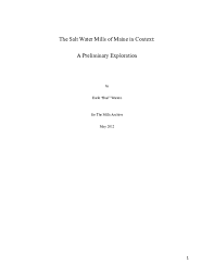 doc the salt water mills of maine in context a preliminary