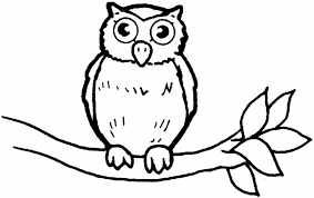 Your kids are going to love this cartoon owl coloring page. Printable Owl Coloring Home